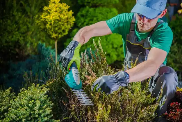 landscaping services West Hempstead